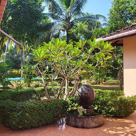 King Coconut Lodge Habaraduwa Exterior photo