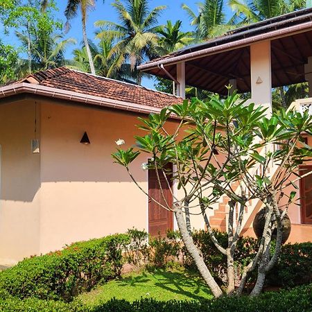 King Coconut Lodge Habaraduwa Exterior photo