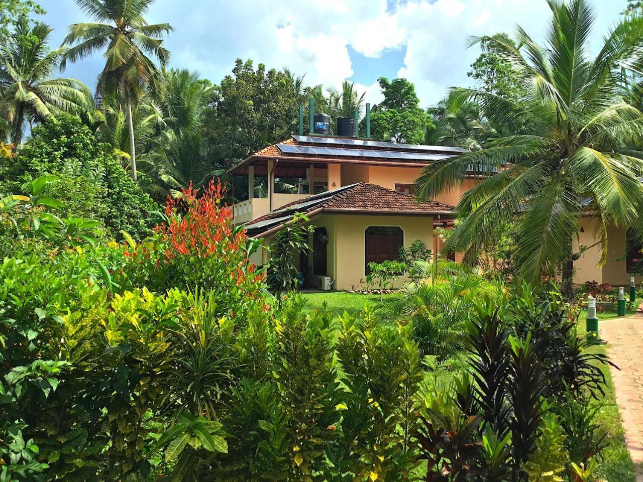 King Coconut Lodge Habaraduwa Exterior photo